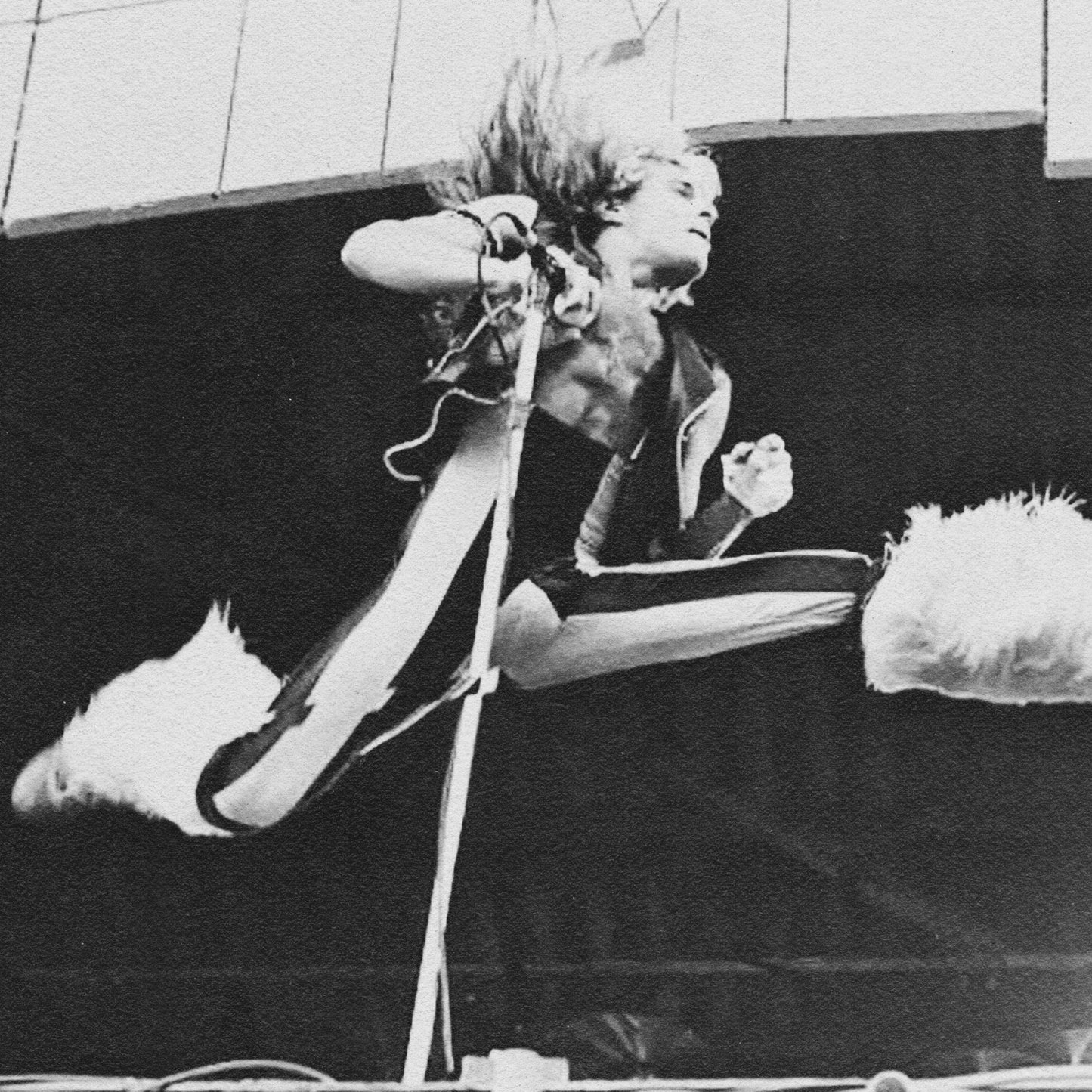DAVID LEE ROTH