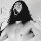 BRUISER BRODY