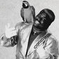 KOKO B WARE